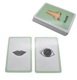 Alternative view of Cartas didácticas partes del cuerpo inglés 12x8cm